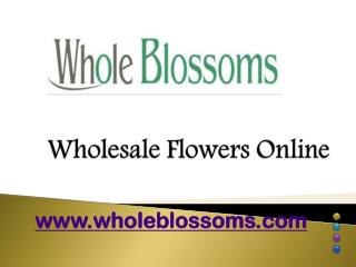 Wholesale Flowers Online - wholeblossoms