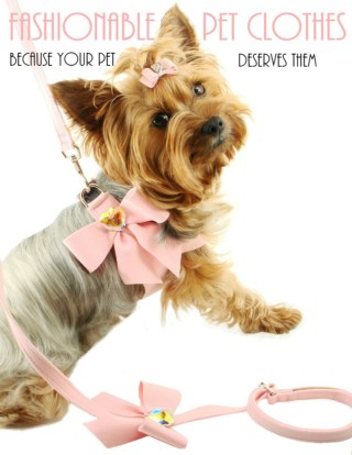 Fashionable Pet Clothes – Because Your Pet Deserves Them