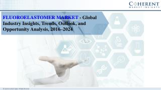 Fluoroelastomer Market- Industry Insights, Trends, Outlook, and Opportunity Analysis, Forecast 2016-2024