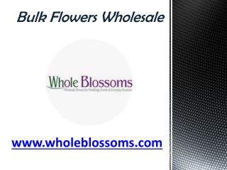 Bulk Flowers Wholesale - www.wholeblossoms.com