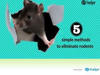 5 Simple Methods To Eliminate Rodents From Your Home