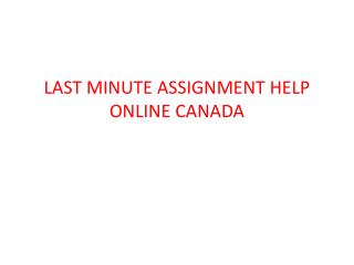 Last Minute Assignment Help Online Canada