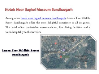 hotels-near-baghel-museum-bandhavgarh