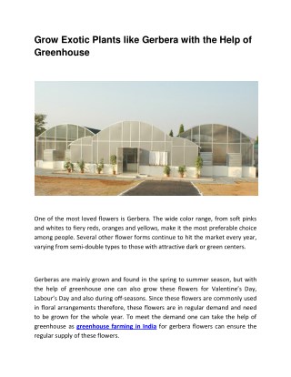 Grow Exotic Plants like Gerbera with the Help of Greenhouse