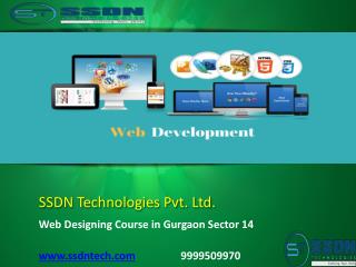 web designing institute