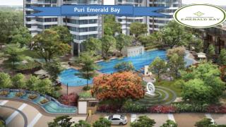 Puri Emerald Bay Apartments for sell In Gurgaon