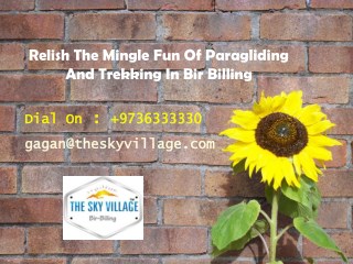 Relish The Mingle Fun Of Paragliding And Trekking In Bir Billing