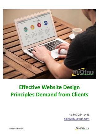 Effective Website Design Principles Demand from Clients