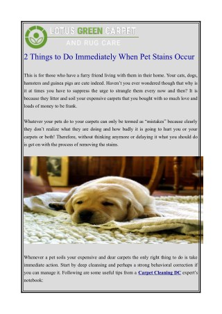 2 things to do immediately when pet stains occur