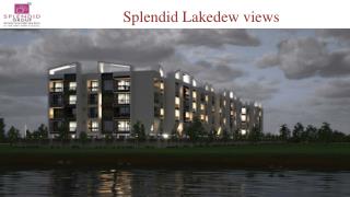 Splendid lakedews review