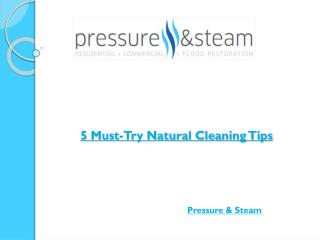 5 Must-Try Natural Cleaning Tips