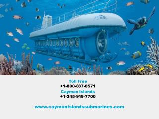 The most spectacular submarine rides in the Cayman Islands.