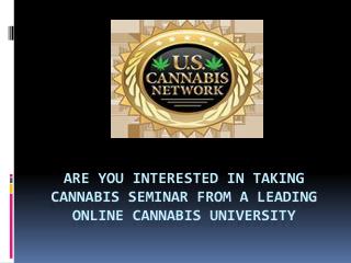 Are You Interested In Taking Seminar Classes Regarding Cannabis Business from Online University