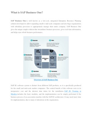 SAP B1 Online Training in Mumbai