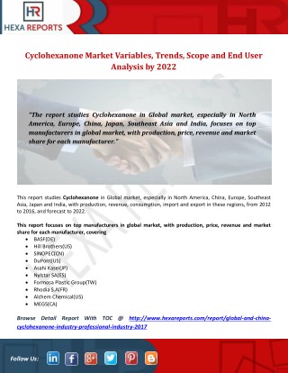 Cyclohexanone Market Variables, Trends, Scope and End User Analysis by 2022