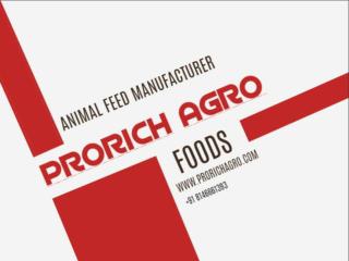 Animal feeds manufacturer in India - Prorich Agro