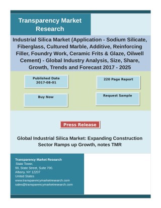 Industrial Silica Market Analysis and Forecast Study for 2017-2025