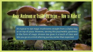 Magic Mushroom Tea Recipe - How to Make It?