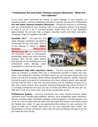 Professional fire and water cleanup company Wisconsin - What Are Your Options?