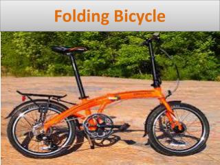 Carbon Folding Bike