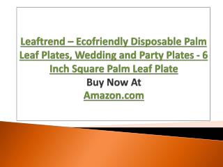 Leaftrend – Eco friendly Disposable Palm Leaf Plates, Wedding and Party Plates - 6 Inch Square Palm Leaf Plate