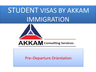 Best Immigration Consultants in Chandigarh