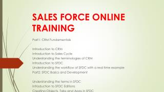 Sales force online training in hyderabad