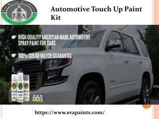 Automotive Touch Up Paint Kit