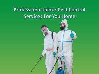 Professional Jaipur Pest Control Services For You Home