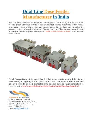 Dual Line Dose Feeder Manufacturer in India
