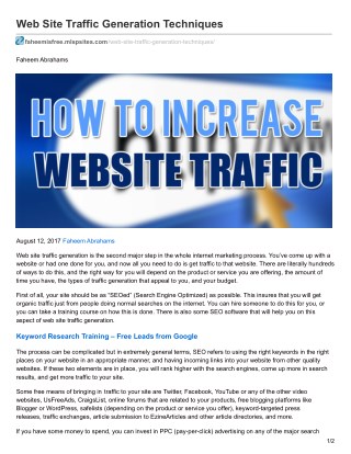 Web Site Traffic Generation Techniques