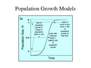 Population Growth Models