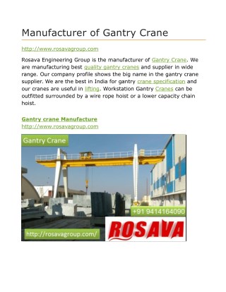 Manufacturer of Gantry Crane