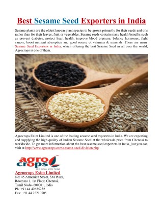 Best Sesame Seed Exporters in India