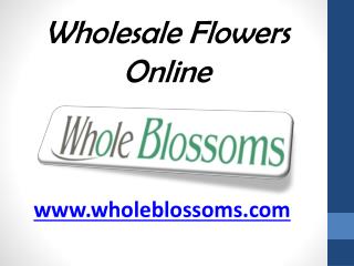 Wholesale Flowers Online - www.wholeblossoms.com