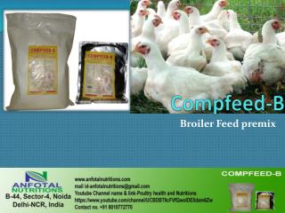 Best Poultry Feed Supplement by Anfotal Nutrition's