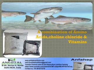 Best Aquaculture feed supplement by Anfotal Nutrition's