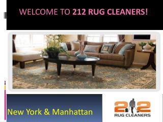 sofa cleaning nyc