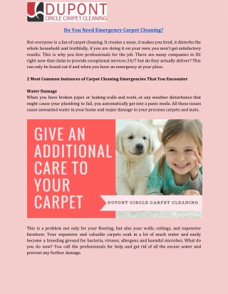 Get Professionals Carpet Cleaning DC Service to Clean Your Home