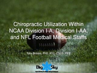 Chiropractic Utilization Within NCAA Division I-A, Division I-AA, and NFL Football Medical Staffs