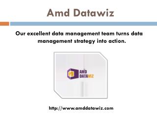 Data Management Services