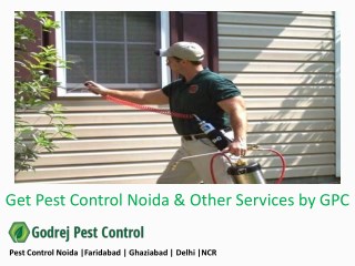 Pest Control Noida |Faridabad | Ghaziabad | Delhi |NCR