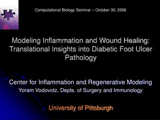 Modeling Inflammation and Wound Healing: Translational Insights into Diabetic Foot Ulcer Pathology