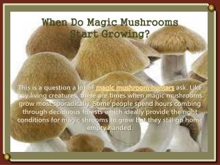 When Do Magic Mushrooms Start Growing?
