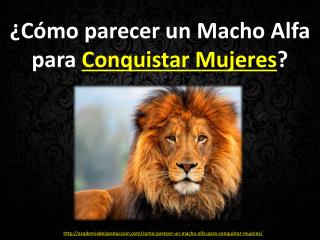 Como parecer un Macho Alfa para Conquistar Mujeres