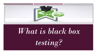 What is black box testing?