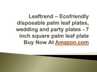 Leaftrend – Ecofriendly disposable palm leaf plates,wedding and party plates - 7 inch square palm leaf plate