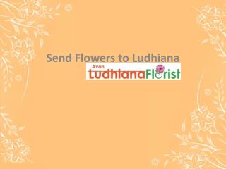 Send Flowers to Ludhiana