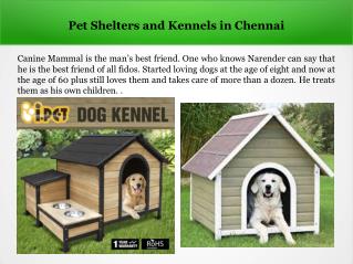 Dog Shelters in Chennai