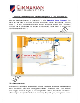 Tunneling Crane Singapore for the development of your industrial life